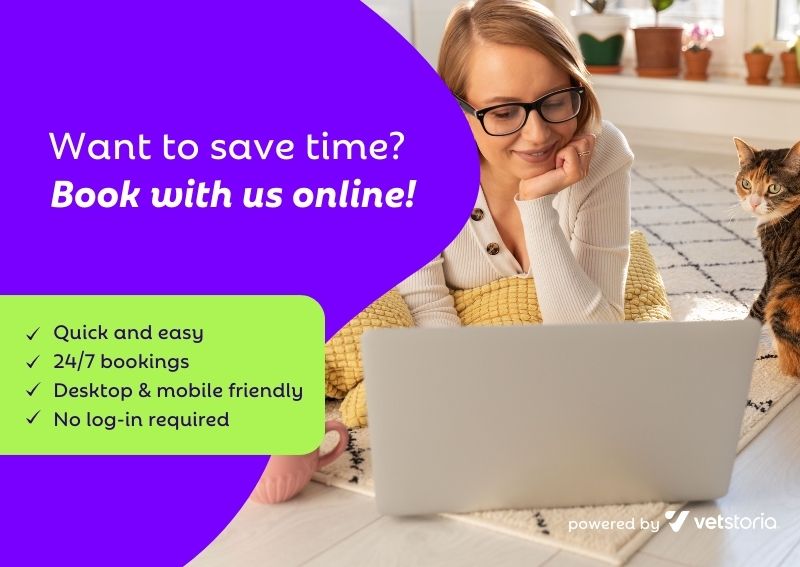 Carousel Slide 4: Online Booking Cat